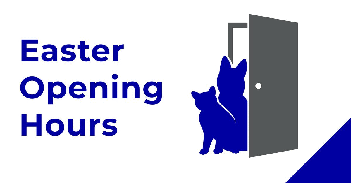 MyVet Bank Holiday Opening Hours