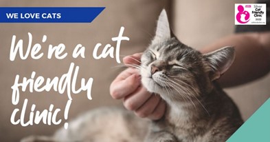 MyVet is an accredited Silver Cat Friendly Clinic