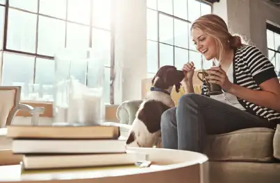 Top Tips for Training New Puppies: Pawsitive Reinforcement 