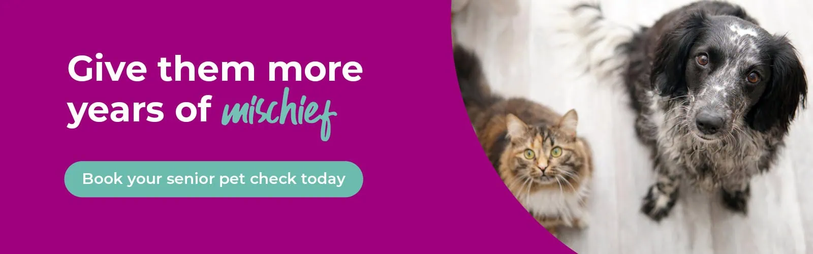 Home | Firhouse vets | Lucan vets | Kildare vets | Dublin vets | MyVet 