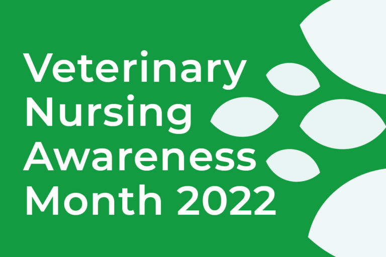 Veterinary Nursing Awareness Month