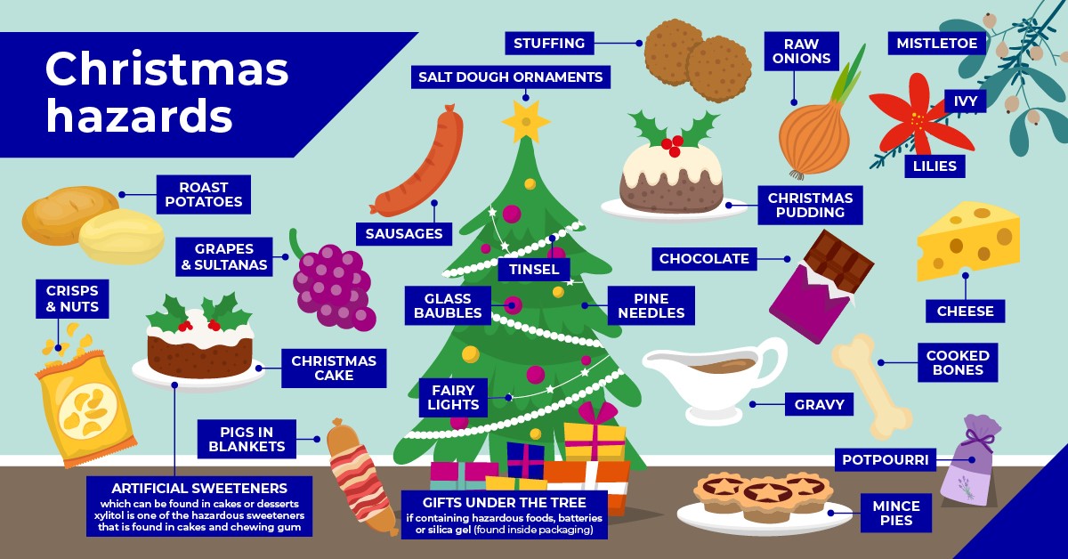 Christmas hazards - what to look out for
