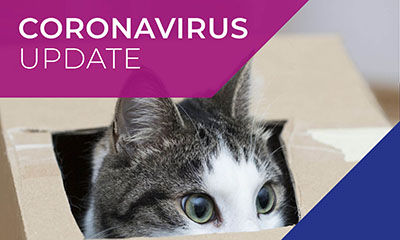 myvet COVID-19 (Coronavirus) update December 2021