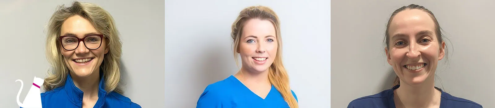 MyVet Lucan Vet Surgery in Dublin