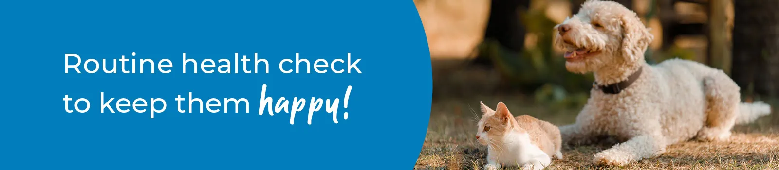 Pet Health Check in Dublin | Preventative Vet Care